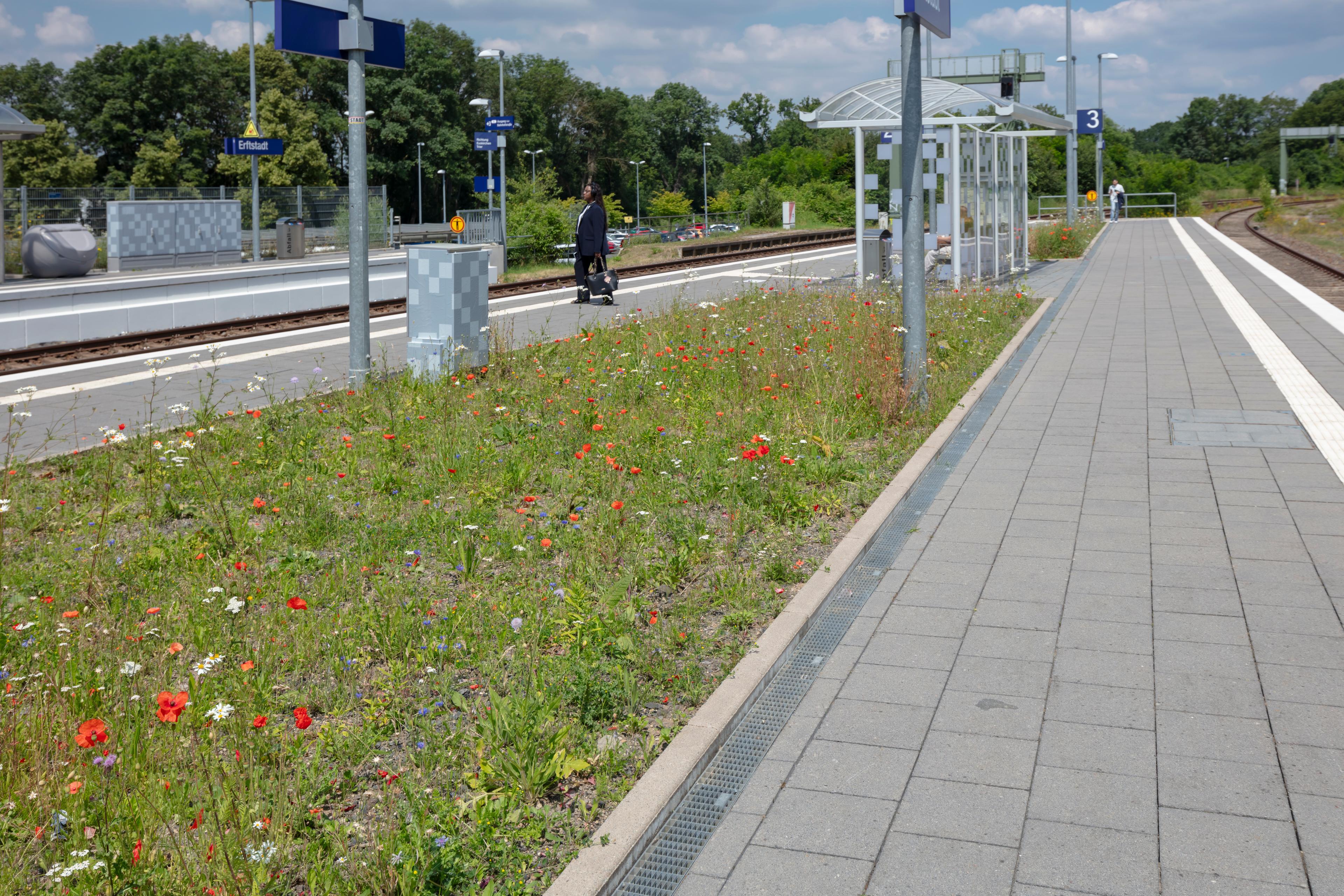 Der Blick auf ein Wetterschutzhäuschen an einem Bahnsteig des Bahnhofs Erftstadt nach der Aufwertung 