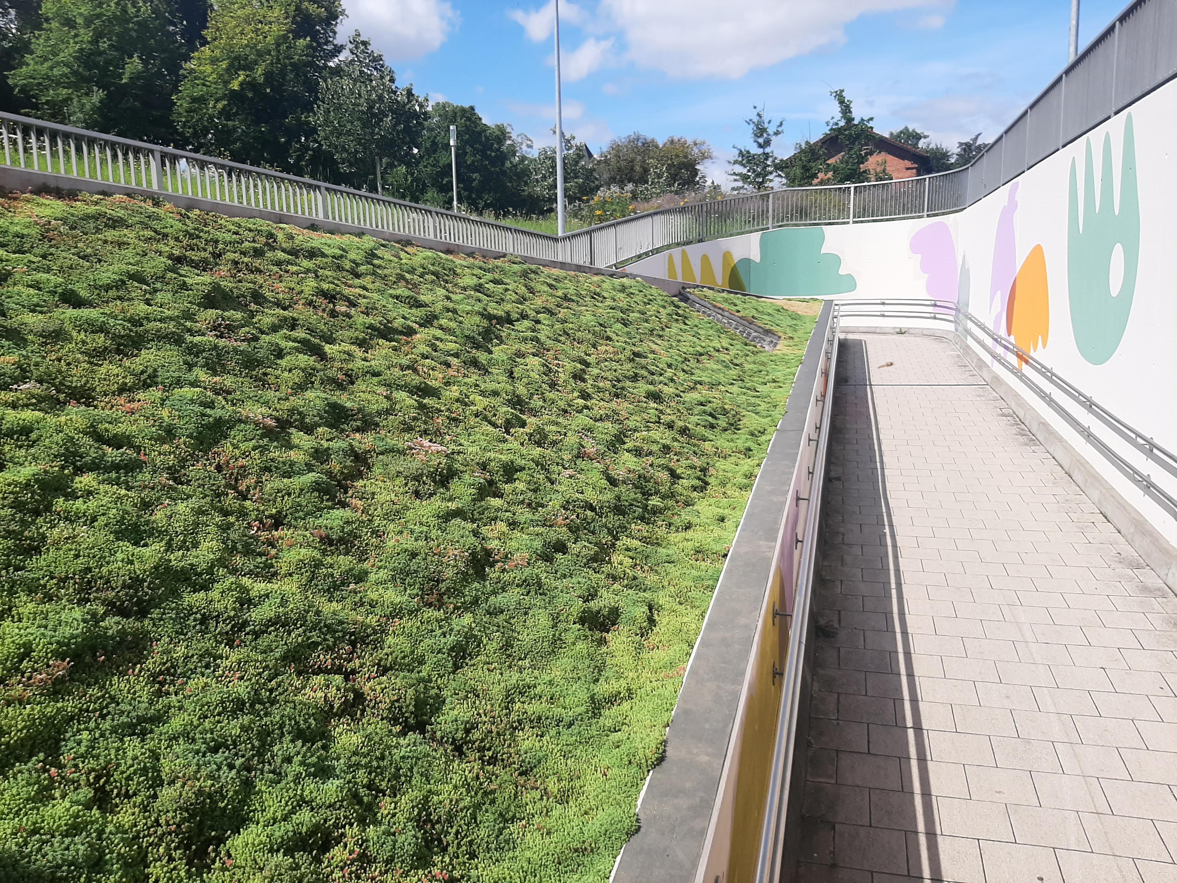 Blick auf die Rampe am Bahnhof Apolda nach der Sanierung