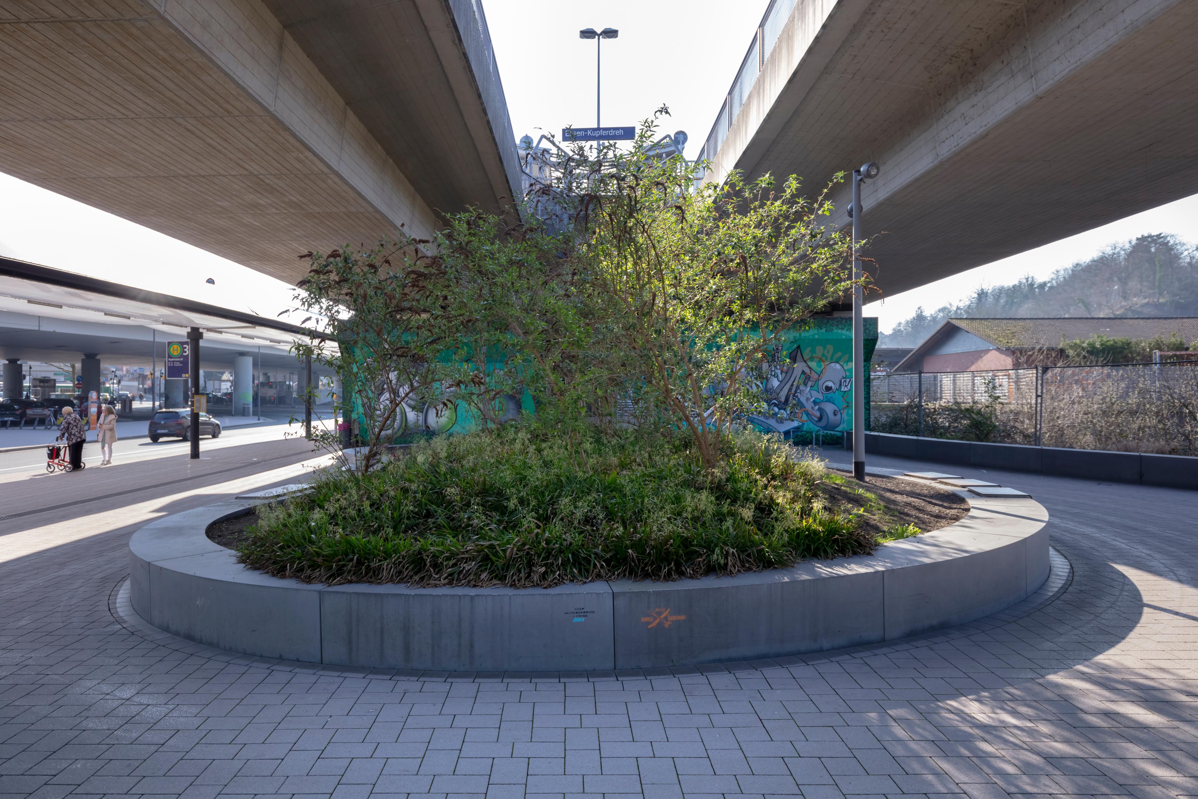 Verspielte Murals und Pflanzen lockern die Atmosphäre auf