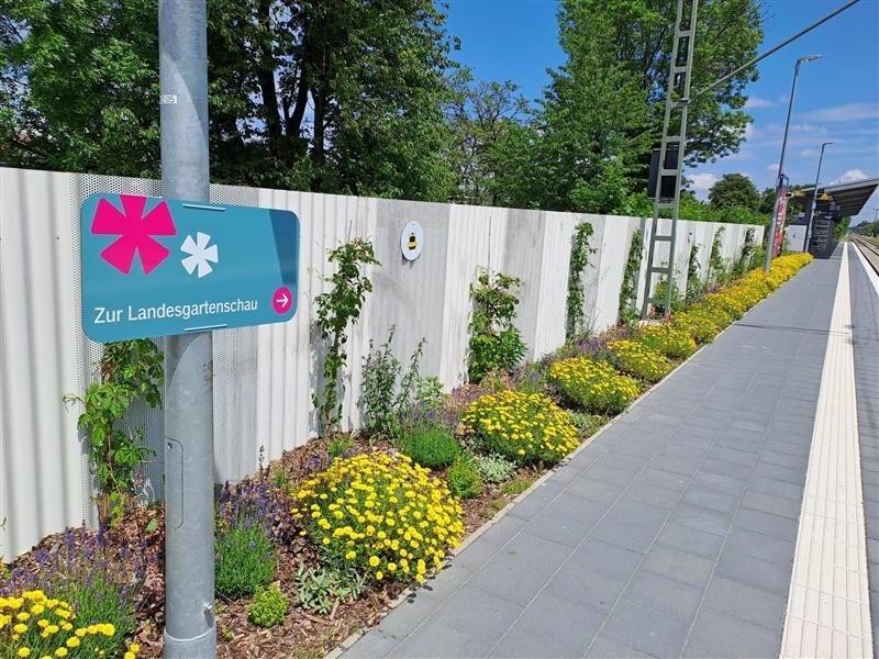 Diverse Beete mit Gräsern und Blumen am Bahnhof und Verweis zur Landesgartenschau. 